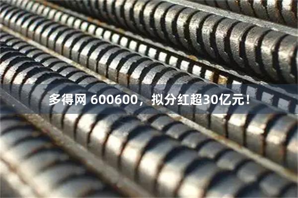 多得网 600600，拟分红超30亿元！