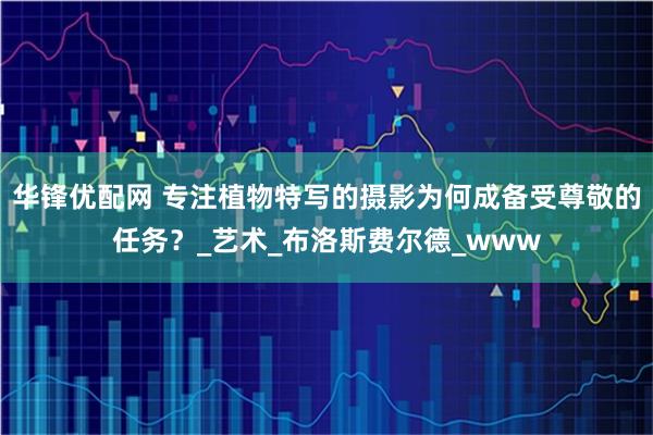 华锋优配网 专注植物特写的摄影为何成备受尊敬的任务？_艺术_布洛斯费尔德_www
