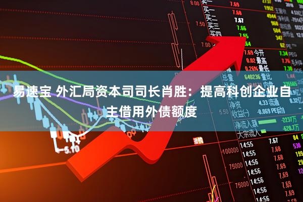 易速宝 外汇局资本司司长肖胜：提高科创企业自主借用外债额度