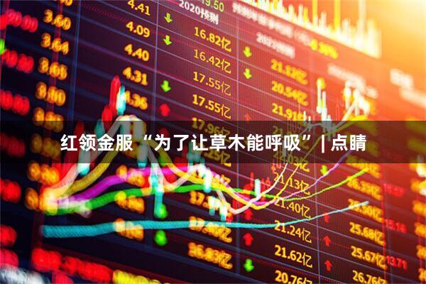 红领金服 “为了让草木能呼吸” | 点睛